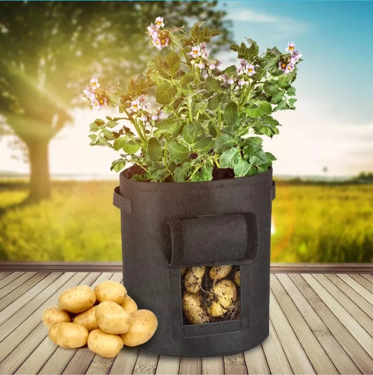visual garden plant grow bag