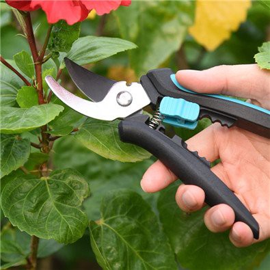 Garden hand bypass pruners