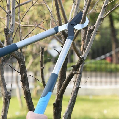 Compact lopping pruning shears Compact lopping pruning shears