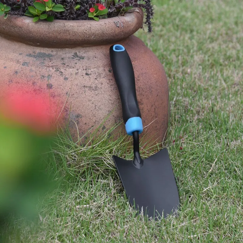 beautiful color beautiful color