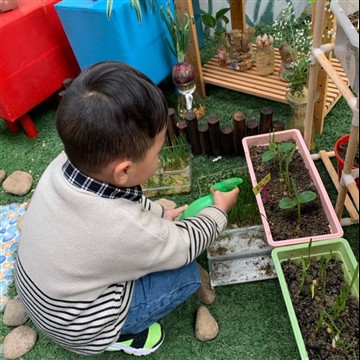 How to cultivate children's gardening fun