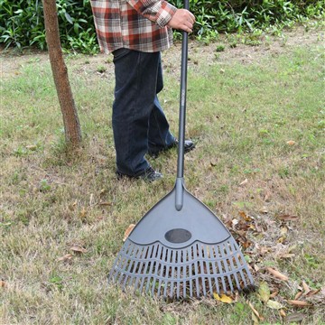 How do we care the Vinca in the winter season?