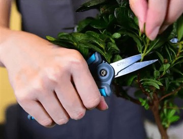 Why did we launch the new and larger scissors