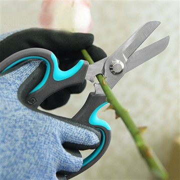 Starting Flowers Garden