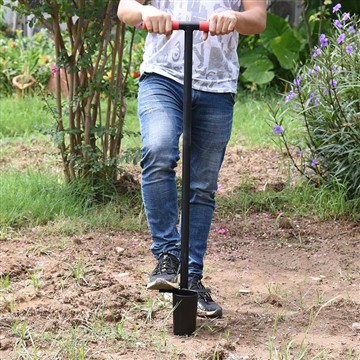 How To Create a Low-Maintenance Beauty Garden?