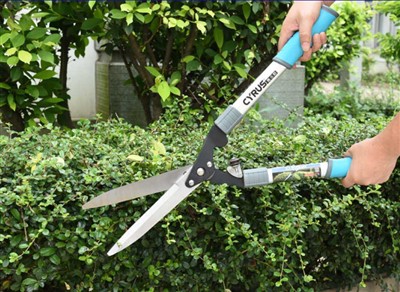 How to Use and Maintain Hedge Shears