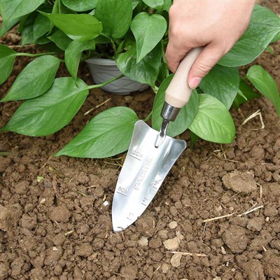 Garden Planting Diary -1