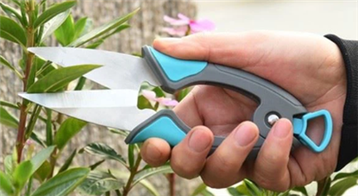 Secateurs And Pruners