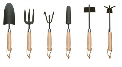 Planting Tomatoes at Home