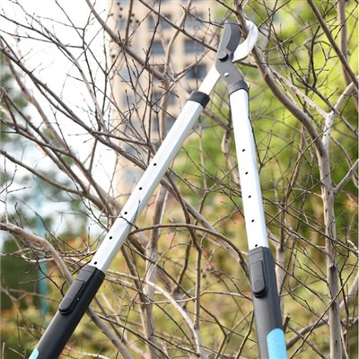 Gardening for Busy Individuals: Tips for Caring for Your Garden with Limited ...