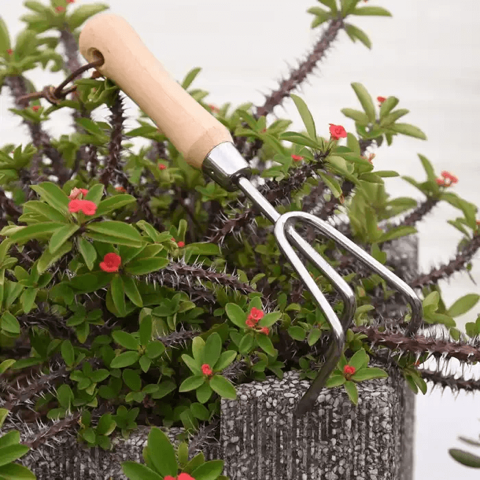 Hand Cultivator Tool