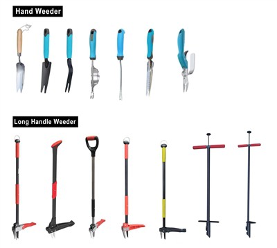 Cultivating Green: Embracing Sustainability in Your Garden