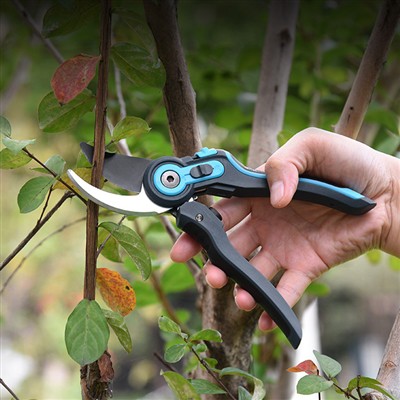 Global Garden Tool Trends and Needs