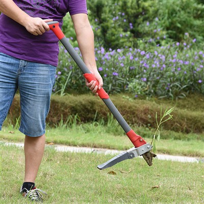 How to remove weeds without bending?