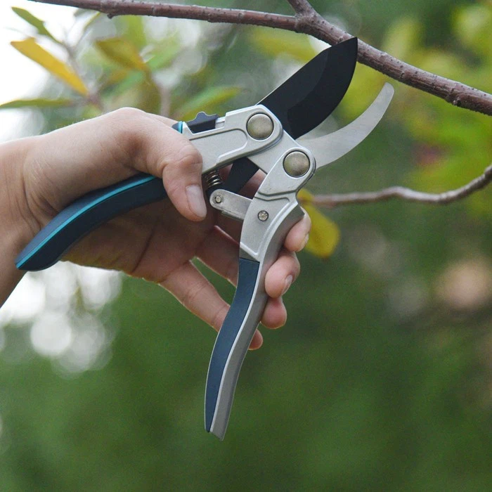 Pruning Secateurs Pruning Secateurs