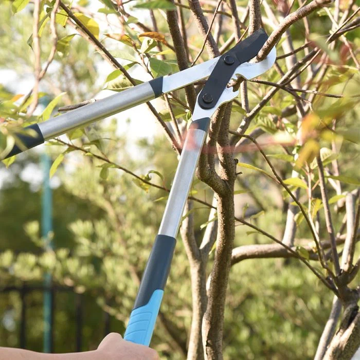 Long Handled Pruners Loppers Long Handled Pruners Loppers