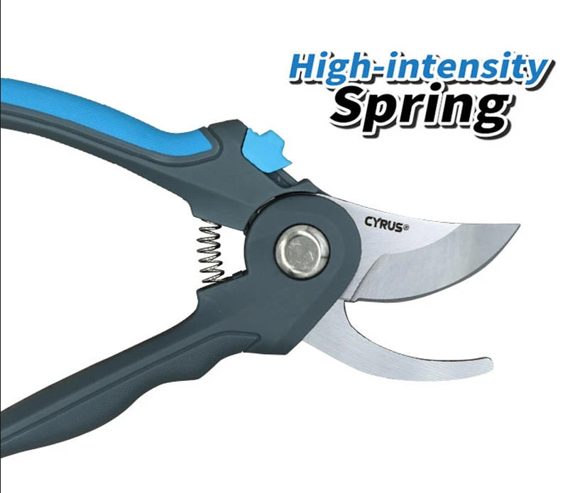 High Intensity Spring