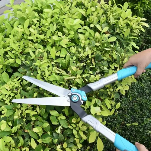 Detailed hedge trimming or topiary work Detailed hedge trimming or topiary work