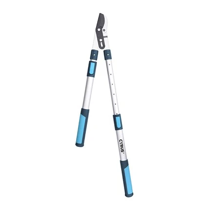 Extra Long Loppers